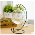 Wholesale Clear Glass Round Terrarium With Wood Base
